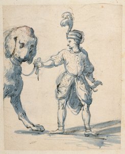 Nano polacco che guida un cane
