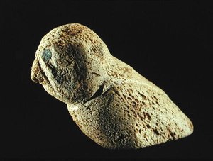 Pernice Bianca, da Cape Dorset da Inuit School