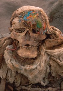 Uno scheletro recentemente dissotterrato che indossa un copricapo di piume, segno di alto status, 2001 (foto) da Ira Block