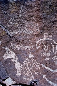 Incisioni di arte rupestre Anasazi trovate nel New Mexico