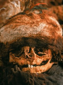 Il cranio di un bambino che è stato avvolto e sepolto, 2001 (foto) da Ira Block