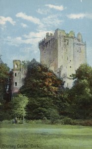 Castello di Blarney, Cork da Irish Photographer