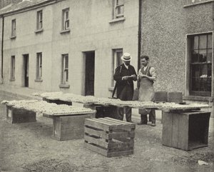 Produzione di pipe di argilla, Drogheda da Irish Photographer