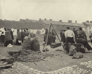 Il mercato delle patate, Drogheda