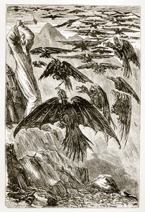San Patrizio e gli uccelli demoniaci, da The Trias Thaumaturga, o Tre santi miracolosi d