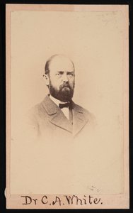 Ritratto di Charles Abiathar White 1826-1910, 1868 da Isaac Augustus Wetherby