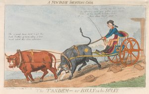 Ein neuer irischer Jaunting Carr. Das Tandem - oder Billy in seinem Sulky da Isaac Cruikshank