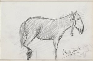 Cavallo da Isaac Gosschalk