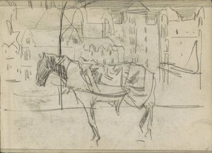Veduta della città con cavallo