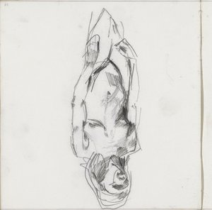 Nudo femminile in piedi