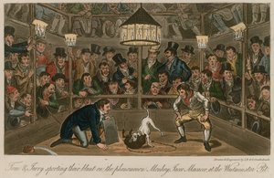 Tom e Jerry che si divertono con il fenomeno della scimmia, Jacco Macacco, al Westminster Pit da Isaac, Robert and George Cruikshank