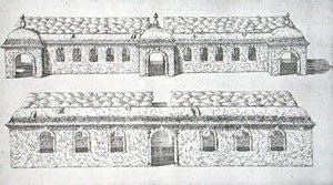 Passeggiate ad arco topiario da 