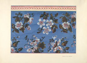 Design per scatola di cartone