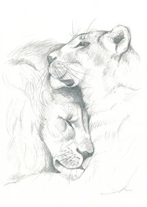 Serenità del leone