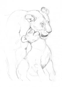 Leonessa e cucciolo