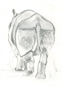 Passo gentile del rinoceronte