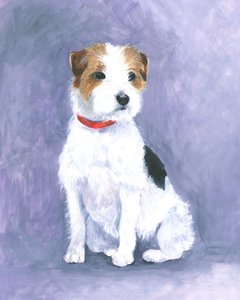 Portamento del terrier