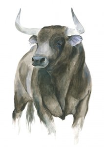 La forza e l