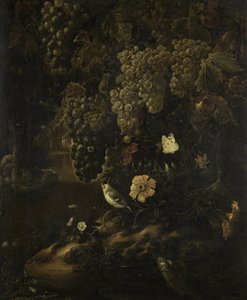 Uva, fiori e animali