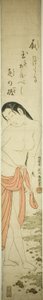 Subacqueo di abalone da Ishikawa Toyonobu