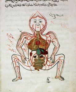 Medicina araba: 