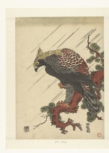 Aquila su ramo di pino sotto la pioggia da Isoda Koryusai