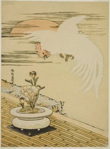 Gallo che Vola Sopra un Vaso di Adone da Isoda Koryusai