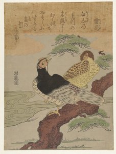 Uccelli del tuono da Isoda Koryusai