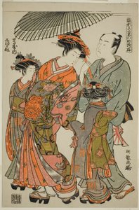 Shioginu del Tsutaya, dalla serie "Modelli per la moda: nuovi disegni freschi come foglie giovani (Hinagata wakana no hatsu moyo)" da Isoda Koryusai