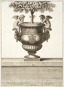Urne di bronzo usate per alberi di agrumi, illustrazione da 