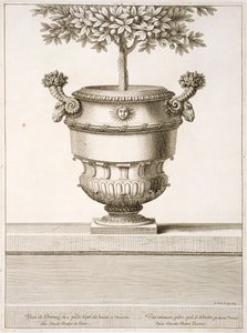 Urne di bronzo usate per alberi di agrumi, illustrazione da 