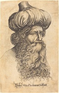 Testa di un uomo anziano, c. 1480-1490