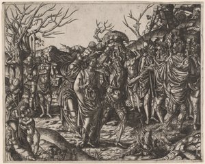 La morte di Virginia