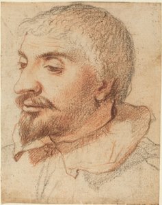 Testa di un Uomo da Italian 17th Century