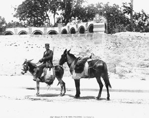 Un campiere, Palermo, c.1920 da Italian Photographer