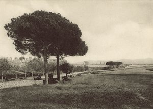Acquedotto di Claudio sulla nuova Via Appia da Italian Photographer