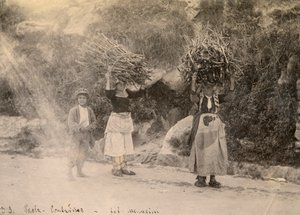 Contadini che trasportano fasci di legna sulla testa, Paola, Calabria, fotografia di Leopoldo Menarini, 1910 ca. da Italian Photographer