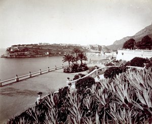 Panorama di Montecarlo. In primo piano, vegetazione densa di piante di agave e cactus