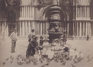 Piccioni da Italian Photographer