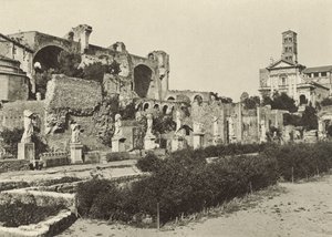 Foro Romano, Basilica di Costantino, Tempio di Romolo e Casa delle Vestali da Italian Photographer