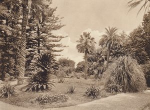 Sicilia / Sicily: Villa Tasca, Palermo (b/w photo) da Italian Photographer