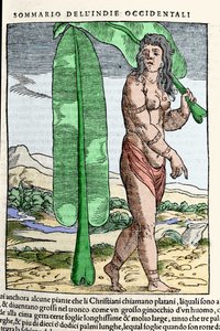 Un nativo delle Indie Occidentali accanto a una foglia di tabacco. Incisione dal libro "Navigationi e Viaggi" vol. III di Giovanni Battista Ramusio (1485-1557), Venezia 1565 da Italian School
