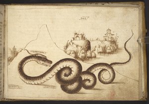 Add. 82955, f.242 Un serpente (