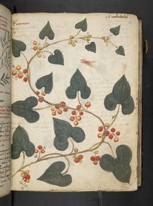 Add MS 41623 