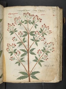 Add MS 41623 