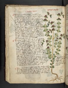 Add MS 41623 f.54v 