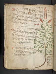 Add MS 41623 f.65v 