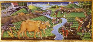 Agricoltura all