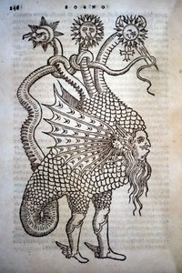 Alchimia: Mostro Ibrido, in "De Transmutatione Metallica Sogni Tre", di Giovanni Battista Nazari, edito a Brescia nel 1599 da Italian School