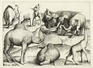 Dipinti di animali dall